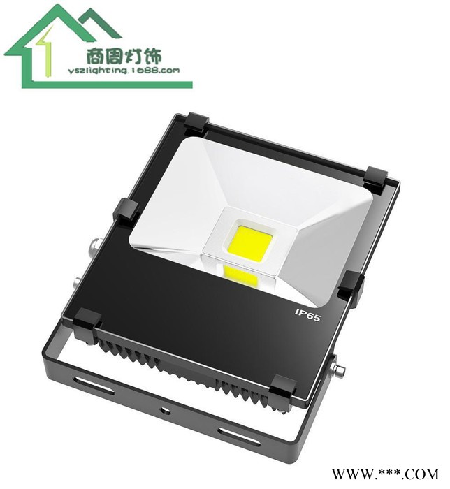 直销20W户外LED防水投光灯超频三泛光灯集成贴片工程专用图1