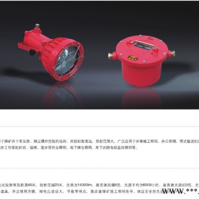 供应矿用隔爆型投光灯
