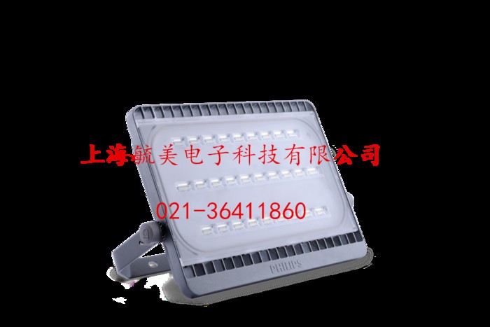 飞利浦LED泛光灯BVP161/100W图1