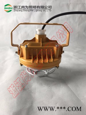 尚为照明SW7152，SW7152防爆LED泛光灯图4