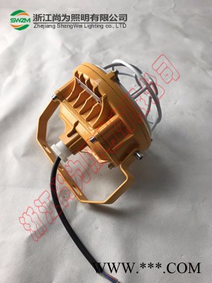 尚为照明SW7152，SW7152防爆LED泛光灯图3