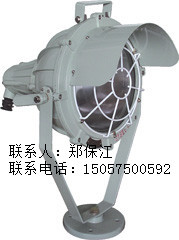 供应标普电器G7730Y防爆投光灯图1