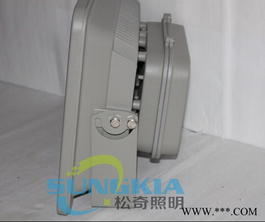 SK新品供应聚光45°投光灯SK-TG1-01-50W投射灯图2