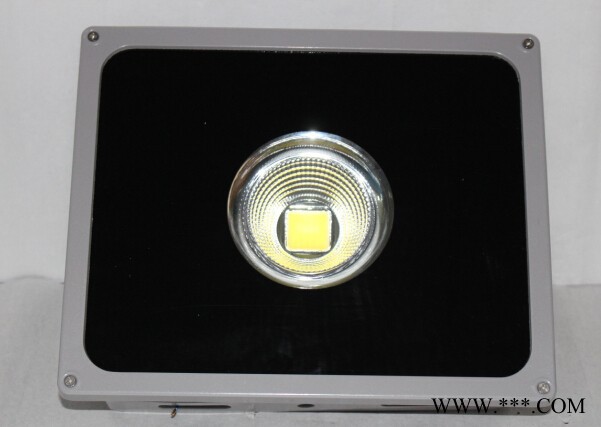 SK新品供应聚光45°投光灯SK-TG1-01-50W投射灯图4