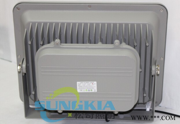SK新品供应聚光45°投光灯SK-TG1-01-50W投射灯图3