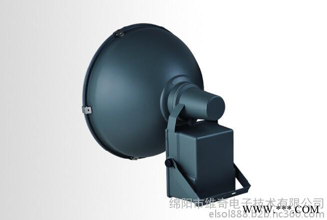 投光灯景观灯无极投光灯投射灯广场投光灯图2