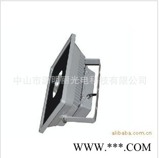 【优明】60度集成50W聚光泛光灯 大功率LED投光灯图2