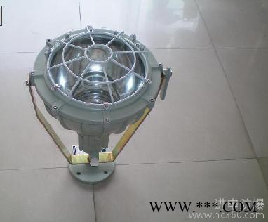 供应进申BTD51-250防爆投光灯 价格优惠质量**品牌图1