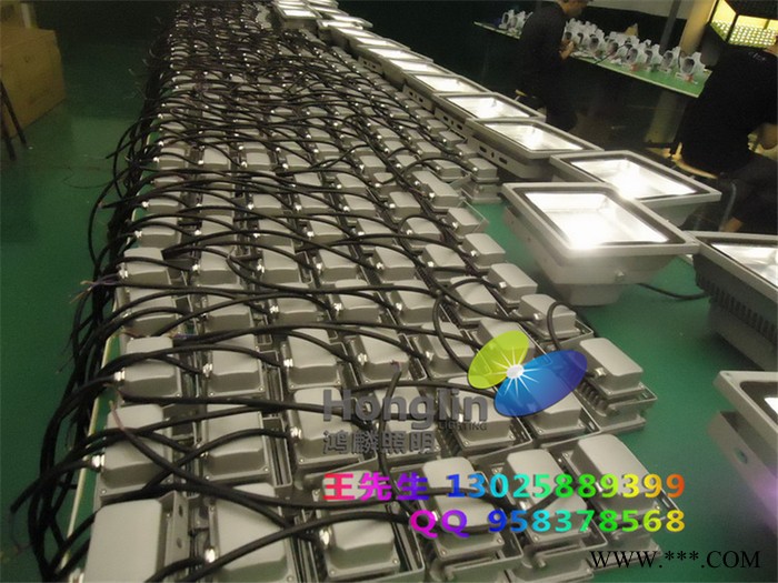 供应丨鸿麟丨100w120w泛光灯 带聚光杯 金色 亮化工程图3