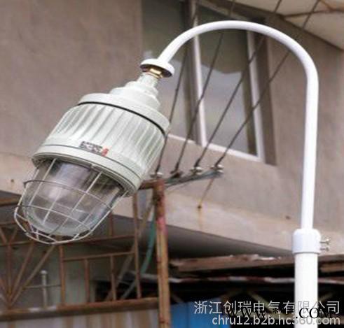 【创瑞**】led防爆泛光灯50w丨外场防爆灯厂家图2