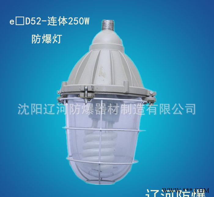 辽河防爆防爆灯250W矿灯钠灯金卤灯荧光灯投光灯泛光灯应急灯图2