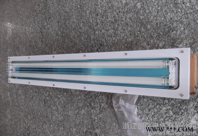 防爆洁净荧光灯 T8双支（双脚灯管） 直销可带应急