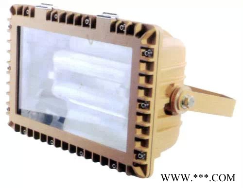 LED防爆泛光灯图3