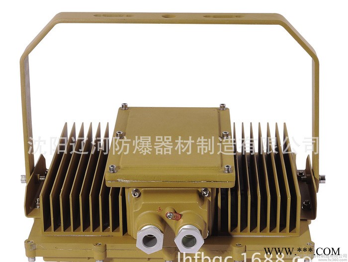 LED防爆投光灯 98669  直销  辽河防爆 80w 100w 120w 150w图2