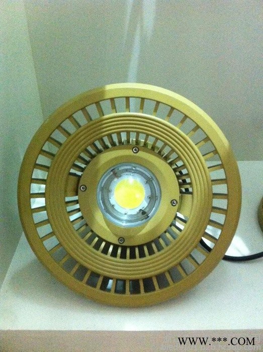 BLED9107（CR9007）大功率 免维护LED防爆灯具 投光灯 LED泛光灯 LED照明灯图5