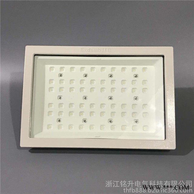 天津防爆工厂灯报价 LED200w车间防爆投光灯图3