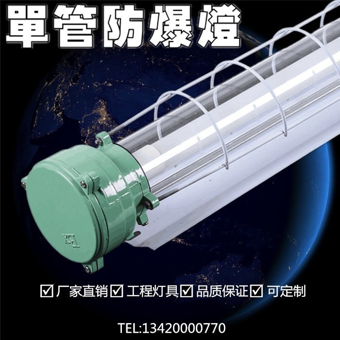 ** T8LED防爆灯 t8单支玻璃防燃爆灯管 led仓库化工厂40W防潮灯图4