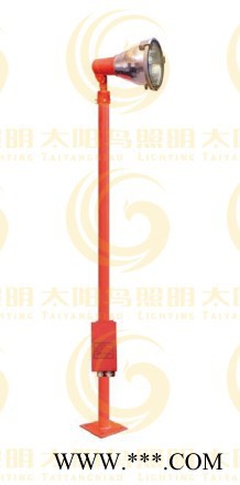 供应太阳鸟牌CXTG68-CXTG68投光灯图2
