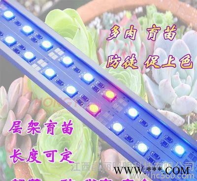 led植物灯管t8一体化植物生长灯1.2米LED植物生长灯条图1