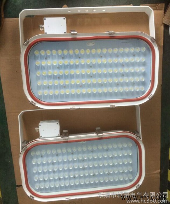 供应轩豪电气TG20  100W  LED船用户外防水投光灯图2