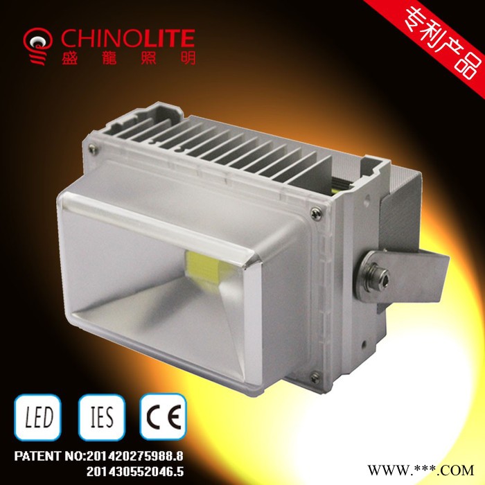 CHINOLITE34DLL050018 新款广告牌投光灯图5