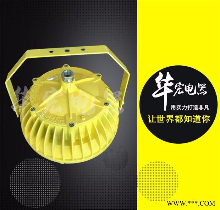 华宏电器BC9303 LED防爆投光灯 高效节能LED防爆灯图2