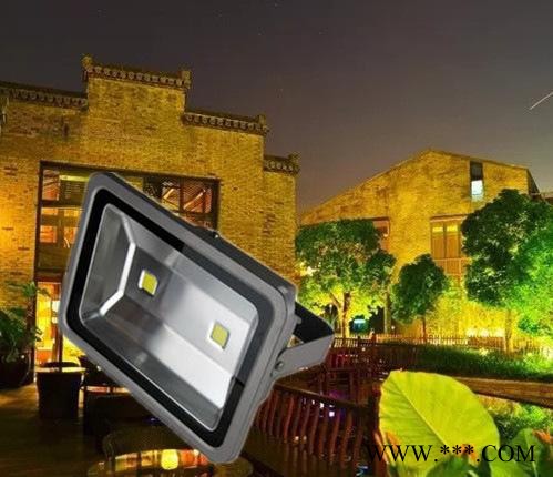 直销120W双头户外防水LED投光灯泛光灯普瑞芯片工程品质保图3