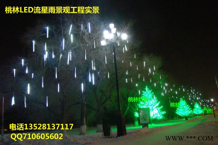 桃林LED流星雨彩灯管LED 树灯发光树挂树灯灯光节日彩灯装饰景观灯流水灯亮化工程灯真双面发光防水 彩虹管图4