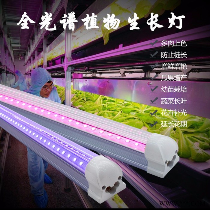 **led植物灯全光谱 根茎植物生长补光灯 植物灯管6-36w可选图3