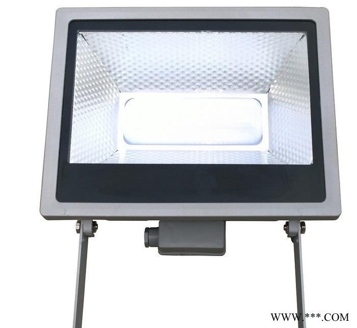 特价LED投光灯 LED户外灯 泛光灯 广告招牌防水贴片投射灯50W100W图2