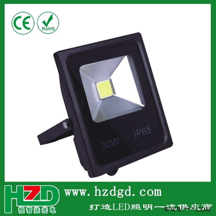 宁波led投光灯 广告灯防水 招牌10W射灯泛光灯图2