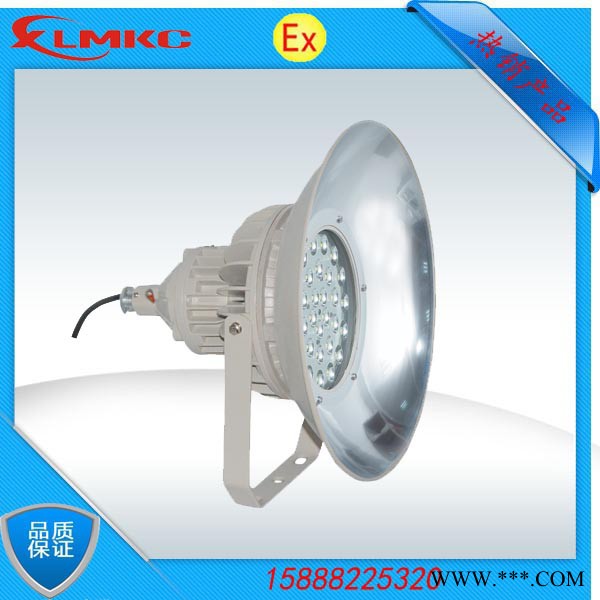 新黎明BZD188-06 防爆免维护LED投光灯  40瓦LED防爆灯                采用合理的图3