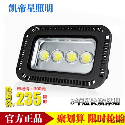 led射灯投光灯单颗大功率泛光灯照树灯户外防水100W250W300W150W