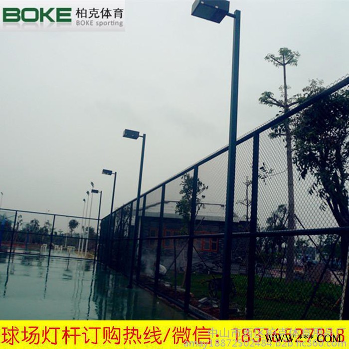 梅州市篮球场抗风防雷照明灯杆灯管批发 锥形球场灯柱零售图3