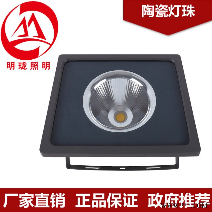 led广告牌户外灯 隧道聚光投射灯30w 50w洗墙泛光灯C图2