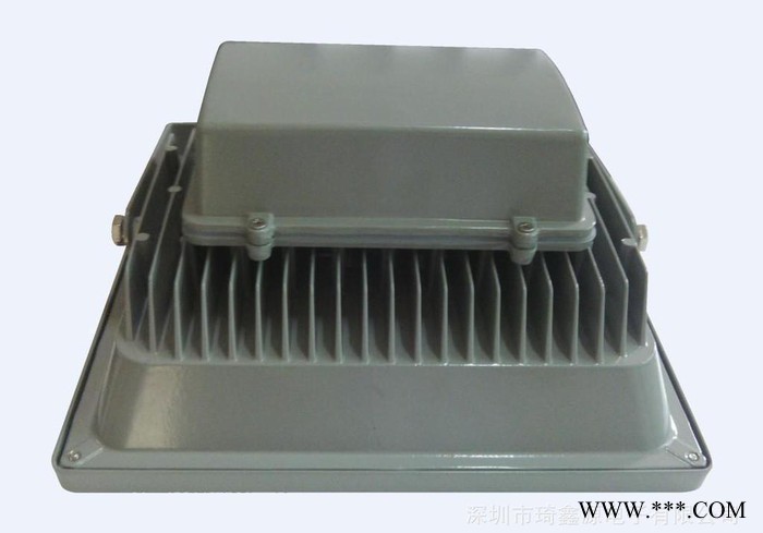 厂价直销led投光灯30w led泛光灯 led防水景观灯 户外led广告灯图1