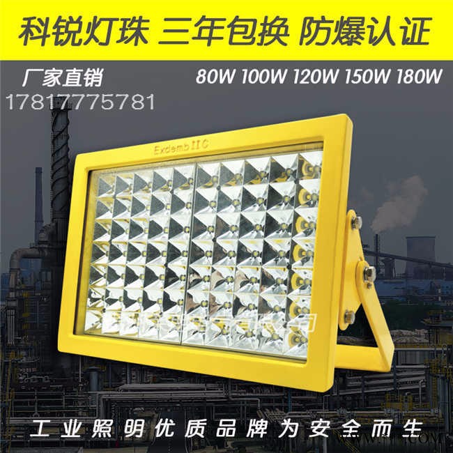 荣朗RLB97LED防爆投光灯 150WLED防爆灯