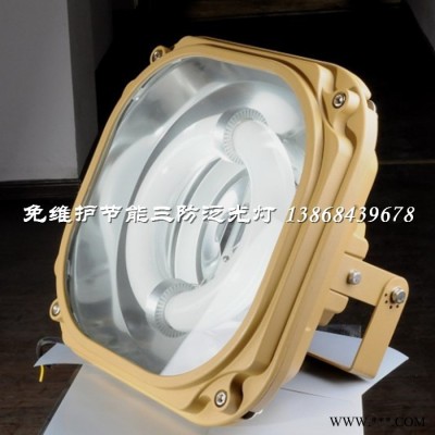 SBF6130-YQL150三防泛光灯