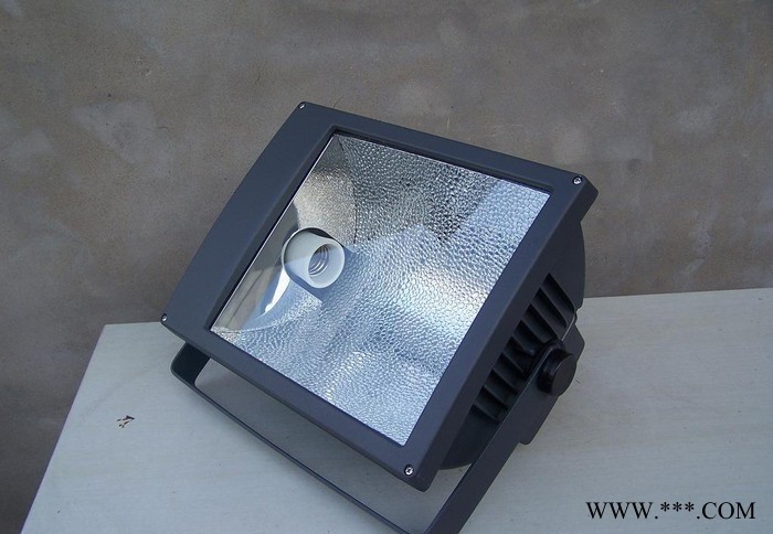泛光灯广场灯具G8008 250W-400W 光使者led防图2