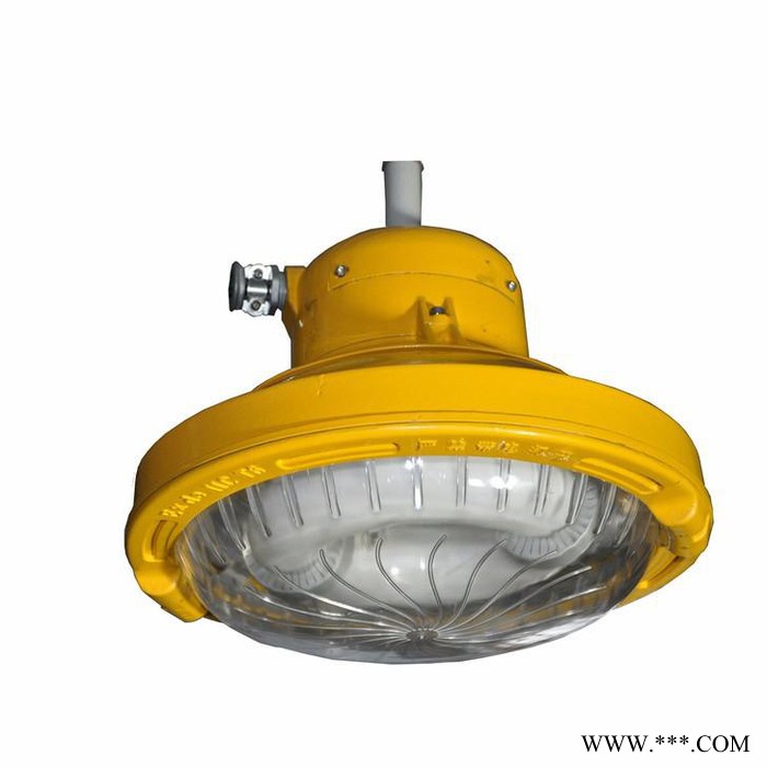 GBF5060_长寿低耗防爆灯_电厂灯_加油站灯_泛光灯_原型号BFC8182图2