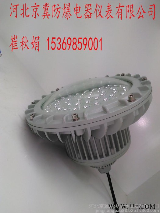 防爆LED泛光灯 防爆电器图2