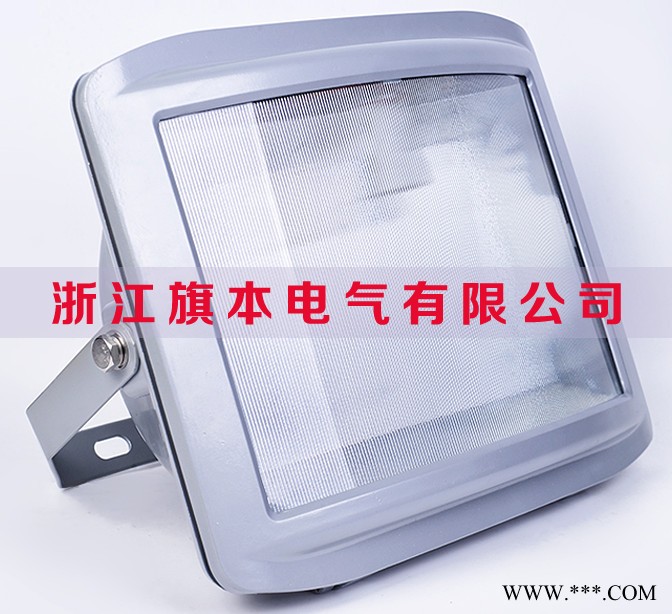 GT301-G三防泛光灯,防眩通路灯,防水防尘防眩灯,壁挂灯具,三防灯图1