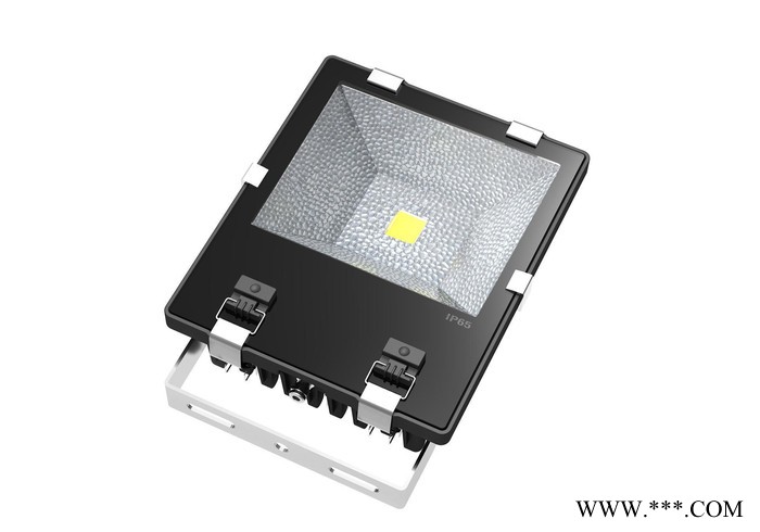 直销100W户外LED防水投光灯超频三泛光灯集成贴片工程专用图2
