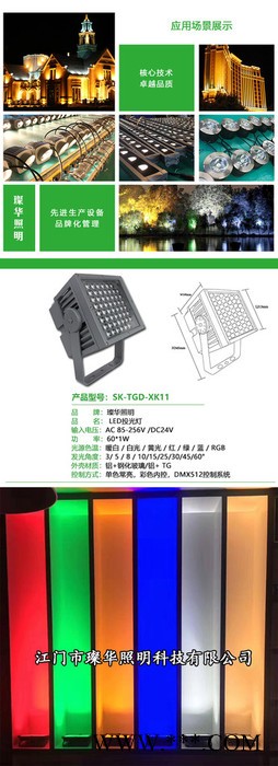 璨华照明SK-TGD-SK-11 LED投光灯图2