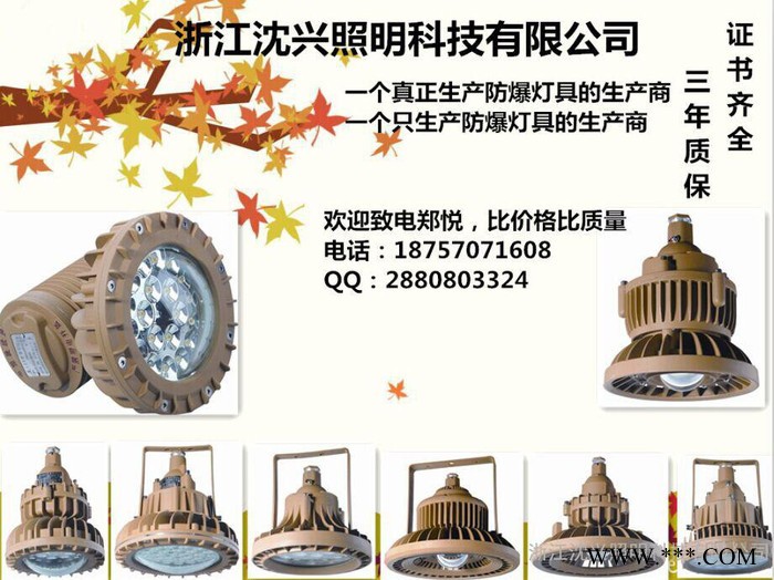 30WLED防爆投光灯，20WLED防爆泛光灯，方形LED防爆照明灯图3