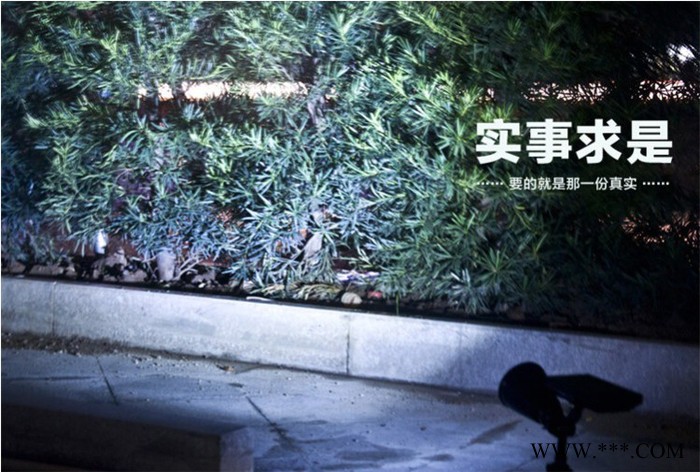 户外太阳能4led庭院射灯 花园高亮度泛光灯 投射树灯 草坪地插灯图3