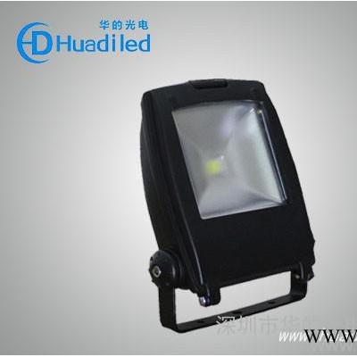 供应华的LED10W LED投光灯