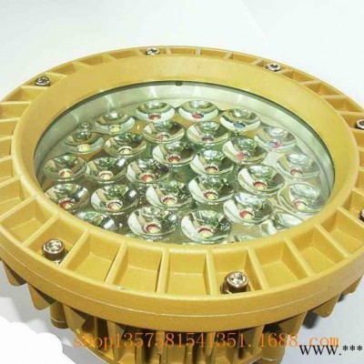 款 30W /40W  led 防爆型投光灯 led防爆