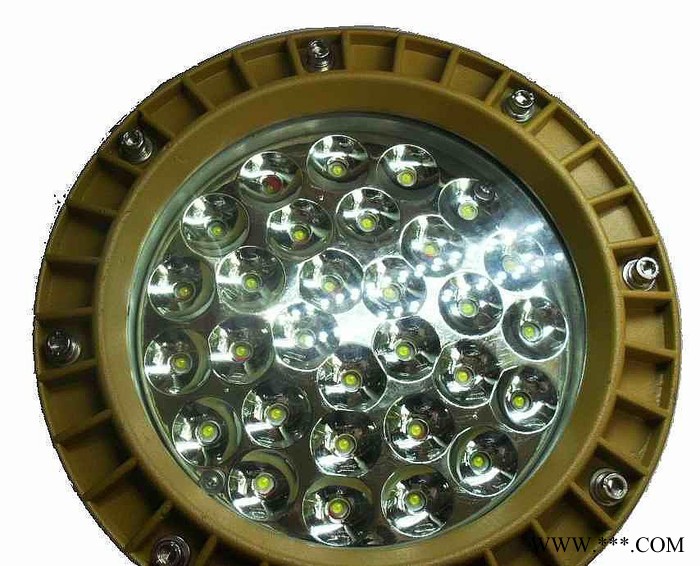 款 30W /40W  led 防爆型投光灯 led防爆图2