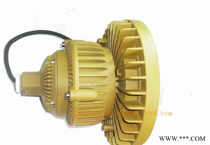 款 30W /40W  led 防爆型投光灯 led防爆图3